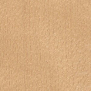 y1PʁzTQc NX GNZNg SHITSURAHI / WILL WOOD SGC159-L | ǎ NX ǎ TQcǎ ǎ ǎւ ǎ Vvǎ ǎ 嗝Εǎ 