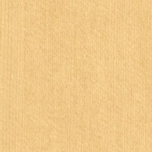 y1PʁzTQc NX GNZNg SHITSURAHI / WILL WOOD SGC164-L | ǎ NX ǎ TQcǎ ǎ ǎւ ǎ Vvǎ ǎ 嗝Εǎ 