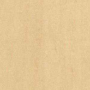 y1PʁzTQc NX GNZNg SHITSURAHI / WILL WOOD SGC165-S | ǎ NX ǎ TQcǎ ǎ ǎւ ǎ Vvǎ ǎ 嗝Εǎ 