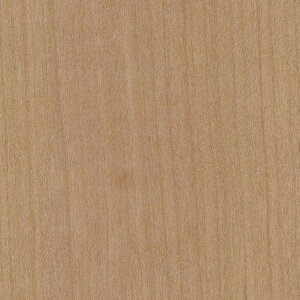 【1枚単位】サンゲツ クロス エクセレクト SHITSURAHI 木/ WILL WOOD SGC169-L | 壁紙 クロス 壁紙おしゃれ サンゲツ壁紙 可愛い壁紙 壁紙張り替え おしゃれ壁紙 シンプル壁紙 白壁紙 大理石壁紙 黒壁