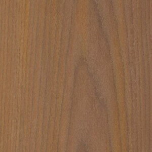 y1PʁzTQc NX GNZNg SHITSURAHI / WILL WOOD SGC170-L | ǎ NX ǎ TQcǎ ǎ ǎւ ǎ Vvǎ ǎ 嗝Εǎ 