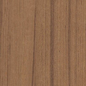 y1PʁzTQc NX GNZNg SHITSURAHI / WILL WOOD SGC175-S | ǎ NX ǎ TQcǎ ǎ ǎւ ǎ Vvǎ ǎ 嗝Εǎ 