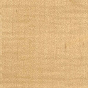 y1PʁzTQc NX GNZNg SHITSURAHI / WILL WOOD SGC176-S | ǎ NX ǎ TQcǎ ǎ ǎւ ǎ Vvǎ ǎ 嗝Εǎ 