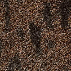 y1mPʐؔzTQc NX GNZNg ELITIS SGB2376 | ǎ NX ǎ TQcǎ ǎ ǎւ ǎ Vvǎ ǎ 嗝Εǎ ǎ gC