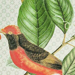 y1{PʁzTQc NX GNZNg Eijffinger SGB2378 | ǎ NX ǎ TQcǎ ǎ ǎւ ǎ Vvǎ ǎ 嗝Εǎ ǎ gC