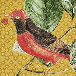 y1{PʁzTQc NX GNZNg Eijffinger SGB2379 | ǎ NX ǎ TQcǎ ǎ ǎւ ǎ Vvǎ ǎ 嗝Εǎ ǎ gC