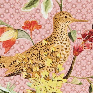 y1{PʁzTQc NX GNZNg Eijffinger SGB2380 | ǎ NX ǎ TQcǎ ǎ ǎւ ǎ Vvǎ ǎ 嗝Εǎ ǎ gC