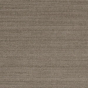 y1mPʐؔzTQc NX GNZNg Color Selection SGA2467 | ǎ NX ǎ TQcǎ ǎ ǎւ ǎ Vvǎ ǎ 嗝Εǎ ǎ g