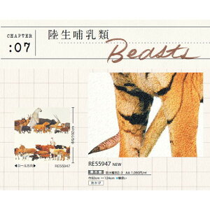 y1mPʐؔzTQc NX U[u Ȋw M RE55947 | DSj[EH[A[g[ulZETCGX~[WAv