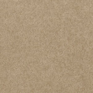 y1mPʐؔz TQc NX tFCX TextureColor TH32202 | ǎ NX ǎ TQcǎ ǎ ǎւ ǎ Vvǎ ǎ 嗝Εǎ ǎ gC