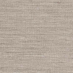 y1mPʐؔz TQc NX tFCX TextureColor TH32269 | ǎ NX ǎ TQcǎ ǎ ǎւ ǎ Vvǎ ǎ 嗝Εǎ ǎ gC