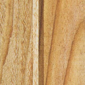 y1mPʐؔz TQc NX tFCX Ebh TH32673 | ǎ NX ǎ TQcǎ ǎ ǎւ ǎ Vvǎ ǎ 嗝Εǎ ǎ gCǎ