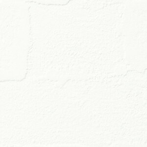 y1mPʐؔz TQc NX t@C FE76461 zǎ | ǎ NX ǎ TQcǎ ǎ ǎւ ǎ Vvǎ ǎ 嗝Εǎ ǎ gC