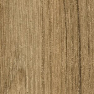 y1mPʐؔz TQc NX t@C FE76572 ؖ | ǎ NX ǎ TQcǎ ǎ ǎւ ǎ Vvǎ ǎ 嗝Εǎ ǎ gCǎ 