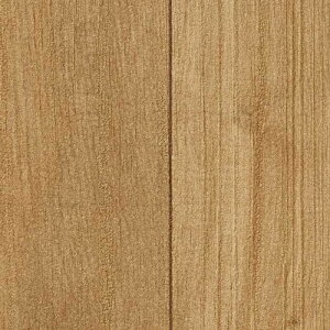 y1mPʐؔz TQc NX t@C FE76574 ؖ | ǎ NX ǎ TQcǎ ǎ ǎւ ǎ Vvǎ ǎ 嗝Εǎ ǎ gCǎ 