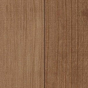 y1mPʐؔz TQc NX t@C FE76575 ؖ | ǎ NX ǎ TQcǎ ǎ ǎւ ǎ Vvǎ ǎ 嗝Εǎ ǎ gCǎ 