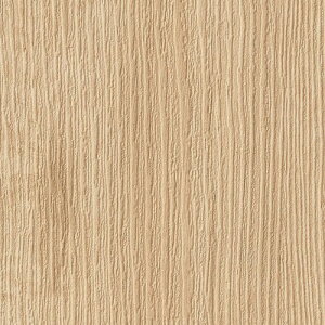 y1mPʐؔz TQc NX t@C FE76580 ؖ | ǎ NX ǎ TQcǎ ǎ ǎւ ǎ Vvǎ ǎ 嗝Εǎ ǎ gCǎ 