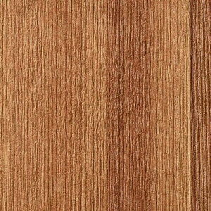 y1mPʐؔz TQc NX t@C FE76588 ؖ | ǎ NX ǎ TQcǎ ǎ ǎւ ǎ Vvǎ ǎ 嗝Εǎ ǎ gCǎ 