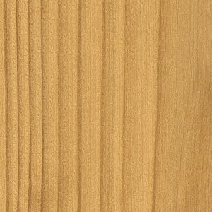 y1mPʐؔz TQc NX t@C FE76589 ؖ | ǎ NX ǎ TQcǎ ǎ ǎւ ǎ Vvǎ ǎ 嗝Εǎ ǎ gCǎ 