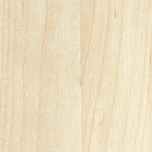 y1mPʐؔz TQc NX t@C FE76590 ؖ | ǎ NX ǎ TQcǎ ǎ ǎւ ǎ Vvǎ ǎ 嗝Εǎ ǎ gCǎ 