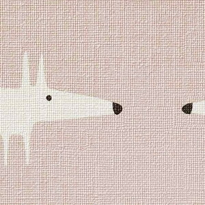 y1mPʐؔz TQc NX t@C FE76736 scion | ǎ NX ǎ TQcǎ ǎ ǎւ ǎ Vvǎ ǎ 嗝Εǎ ǎ gCǎ 