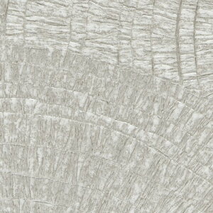 y1mPʐؔz TQc NX t@C FE76753 _ | ǎ NX ǎ TQcǎ ǎ ǎւ ǎ Vvǎ ǎ 嗝Εǎ ǎ gCǎ