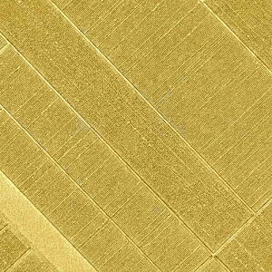 y1mPʐؔz TQc NX t@C FE76763 _ | ǎ NX ǎ TQcǎ ǎ ǎւ ǎ Vvǎ ǎ 嗝Εǎ ǎ gCǎ