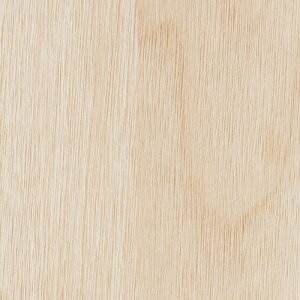 �T���Q�c S�t���A ���f�B�E�H�[�N PG-22091�`PG-22098 (1m�P��)