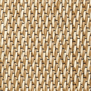 TQc tA^C RRtA ڃV[g 1mPʁz