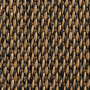 TQc tA^C RRtA ڃV[g 1mPʁz