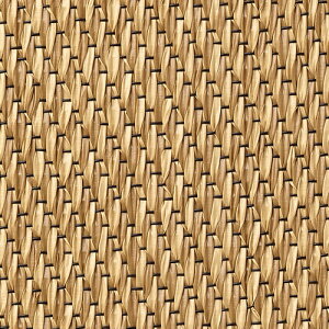 �T���Q�c �t���A�^�C�� �R�R�t���A �^�C���y1���P�ʁz