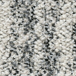 サンゲツ カーペットタイルDT NATURE ルーセントフローF DT-5010 F-eco【1枚単位】| 光や木々、水、石など自然の美しさをモチーフにした有機的なデザイン