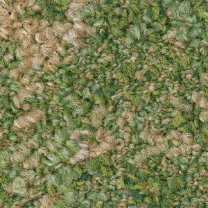 TQc J[ybg^CDT NATURE lC`[[NXF DT-5040 F-ecoy1Pʁz| ؁XAA΂ȂǎR̔`[tɂL@IȃfUC