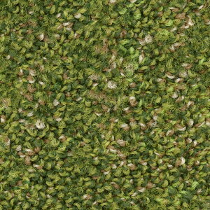 TQc J[ybg^CDT NATURE `FWIuV[F DT-7700`DT-7720 F-ecoy1Pʁz| ؁XAA΂ȂǎR̔`[tɂL@IȃfUC