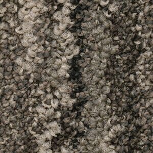 サンゲツ カーペットタイルDT NATURE ティンバーアソート DT-5050【1枚単位】| 光や木々、水、石など自然の美しさをモチーフにした有機的なデザイン