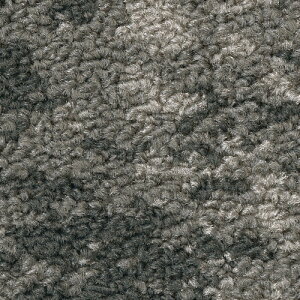 サンゲツ カーペットタイルDT NATURE フラクタル・フォレストF フォリッジF DT-5020 DT-5030 F-eco【1枚単位】| 光や木々、水、石など自然の美しさをモチーフにした有機的なデザイン