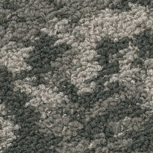 TQc J[ybg^CDT NATURE tN^EtHXgF tHbWF DT-5020 DT-5030 F-ecoy1Pʁz| ؁XAA΂ȂǎR̔`[tɂL@IȃfUC