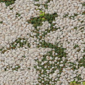 TQc J[ybg^CDT NATURE fBXJo[ DT-7900`DT-7920y1Pʁz| ؁XAA΂ȂǎR̔`[tɂL@IȃfUC