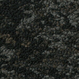 サンゲツ カーペットタイルDT NATURE ツユジF DT-6000 F-eco【1枚単位】| 光や木々、水、石など自然の美しさをモチーフにした有機的なデザイン