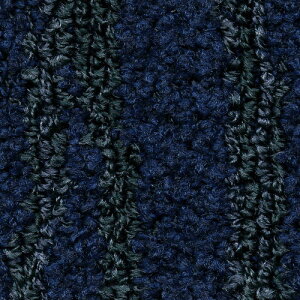 �T���Q�c �J�[�y�b�g�^�C��DT KAGETOHIKARI ������� DT-400T F-eco�y1���P�ʁz| �G����×�Z�p�E�l×�T���Q�c�ɂ����{�̂��̂Â���͂������R���N�V����