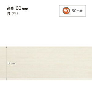 TQc Ж ؖڒЖ(50m) H60 RA WM-43-6RM`WM-55-6RM 1P