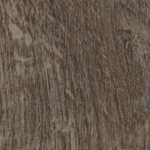 TQc @\NbVtA CMtA 200cm (1mP) | ߂̃NbVtAŁAւȂǓygpOK