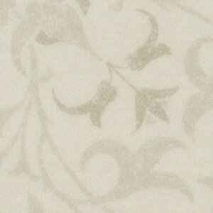 TQc @\NbVtA CMtA MORRIS (1mP) | ߂̃NbVtAŁAւȂǓygpOK