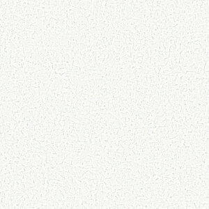 y1mPʐؔzTQc NX U[u vWFN^[pǎ | vWFN^[̉fꂢɉf