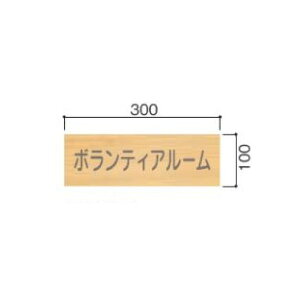 yD(ؐv[gEʌ^)z FW100 5103429 yʓrz D TC v[g Dv[g ؐv[g ؐt[