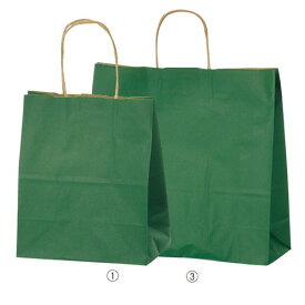 【ラッピング用品】【袋類】【持ち手付き紙袋】 kp38-309-8-11 カラー手提げ紙袋 グリーン 32×11.5×31cm