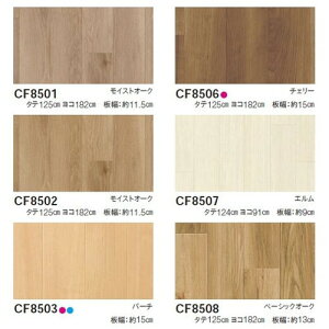 yNbVtAzyCFV[gz  NbVtA CFV[g-SD y1mPʂł̍wz| 炵̉ՌɔzNbVtAB