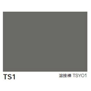 yڃV[gzyrV[gzyrjV[gz  rjV[g TMtA y1mPʂł̍wz| RoGcƋJprjV[gBNbVƓKxȍd