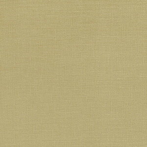 yNXzyǎzyǎzyDECOPOWER(sRFǎ)z y1mPʐؔẑ݂sRFǎ WVP8197