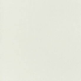 【東リクロス】【東リ壁紙】【壁紙東リ】【不燃認定壁紙1000】 【1m単位切売】フィルム抗菌汚れ防止/ハードタイプ エバ—ル石目調 WF7199